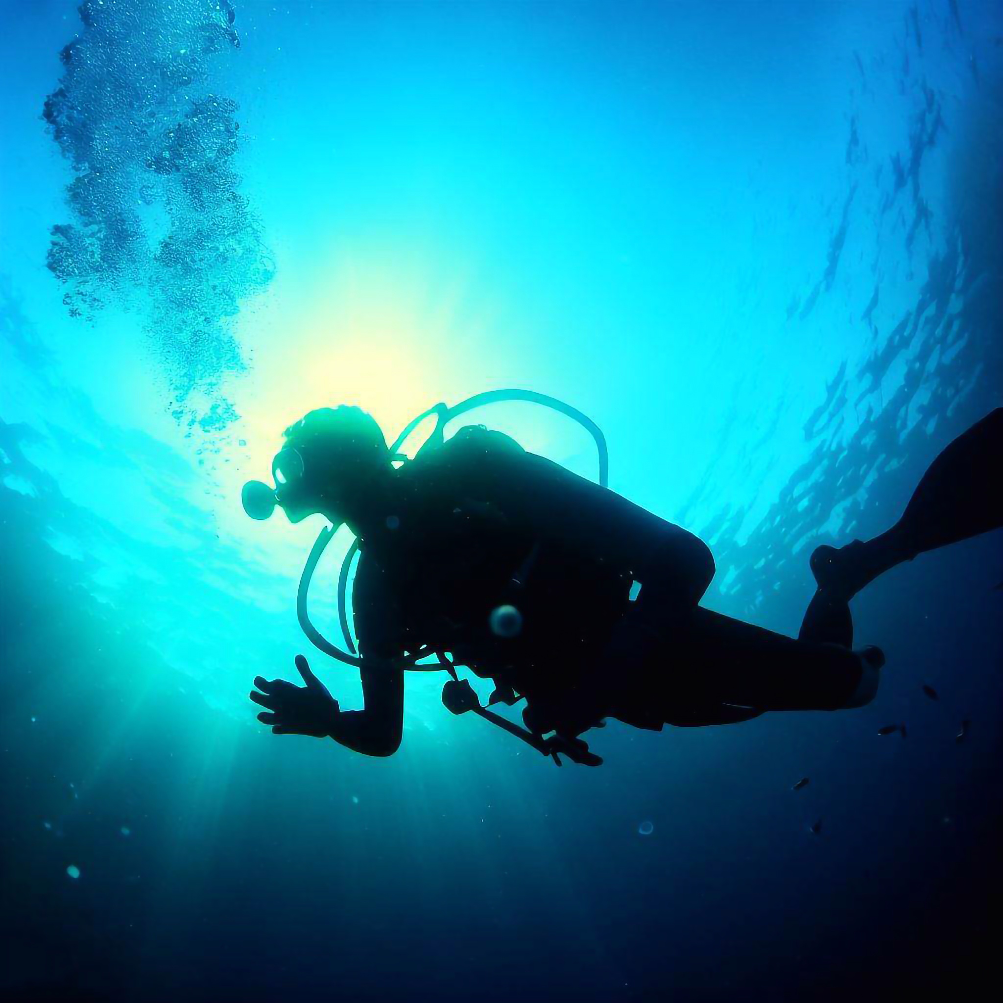 レンタルプラン